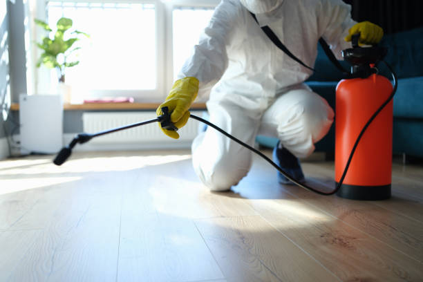 Reliable Infectious Disease Decontamination contractor in Middletown, CA by Trauma Clean Pros